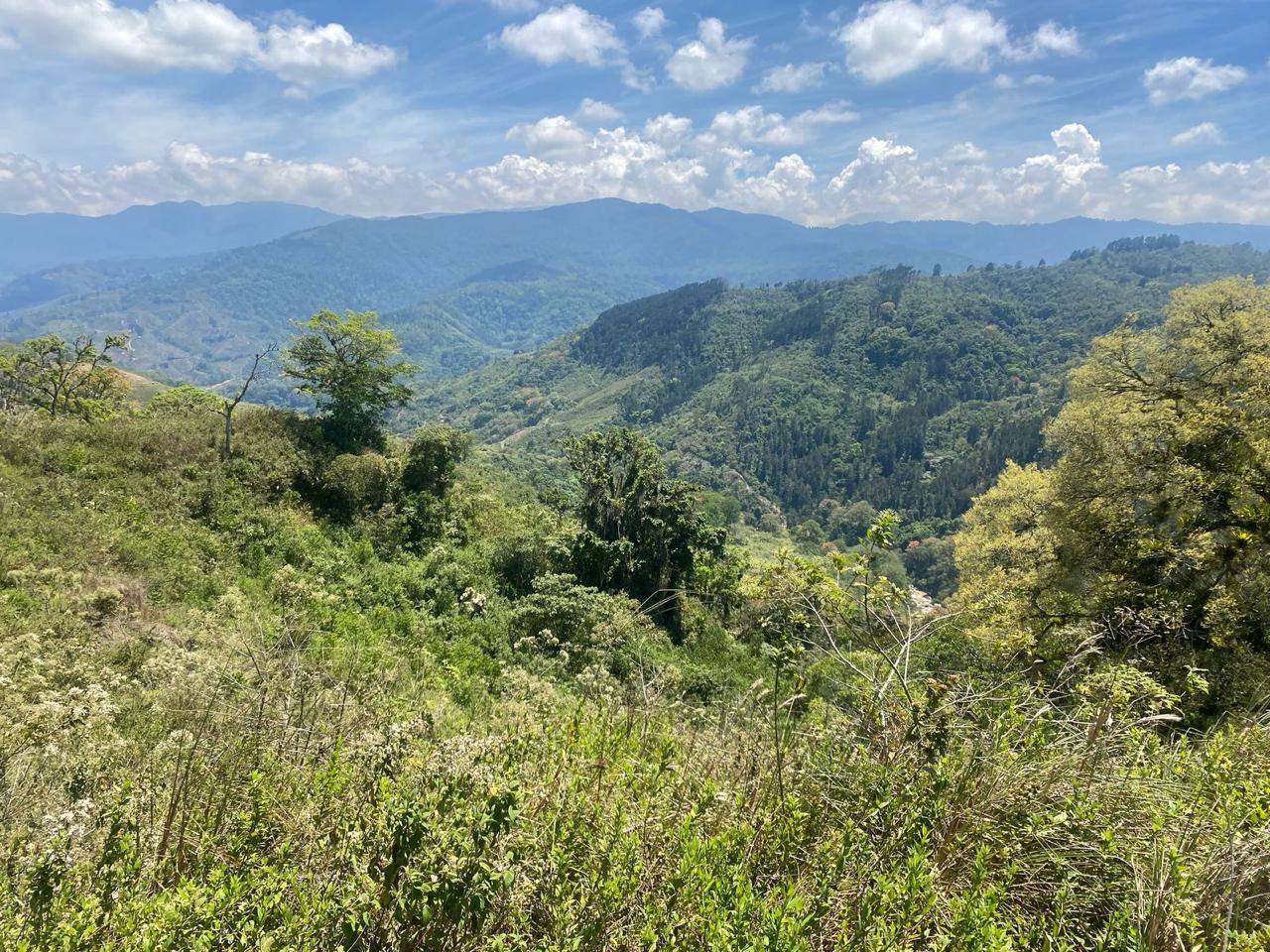 Vista panorámica Finca Praderas